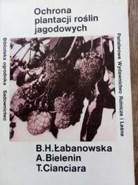 Ochrona plantacji roślin jagodowych Łabanowska, Bielenin 1988r książka