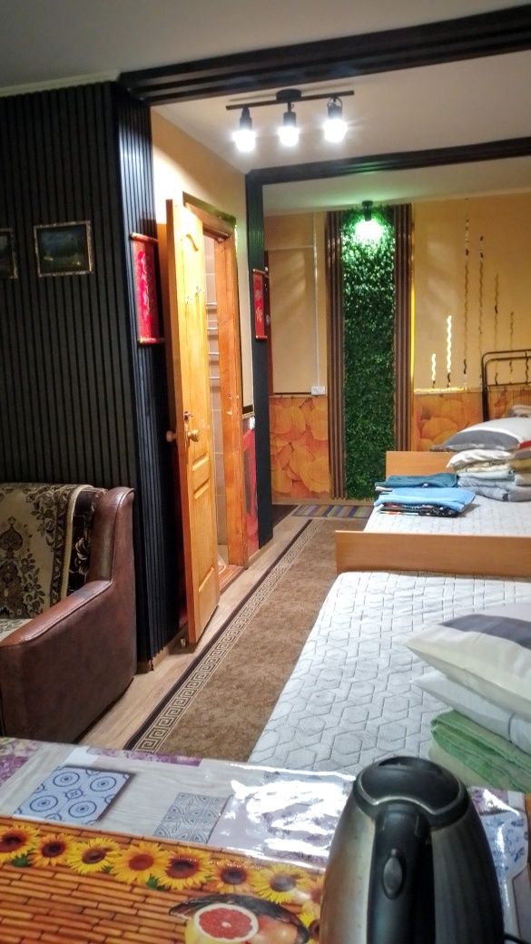 ПОЧАСОВО, ПОСУТОЧНО, 1 к. студия на пр. Центральном 124 А, Wi-Fi, доки