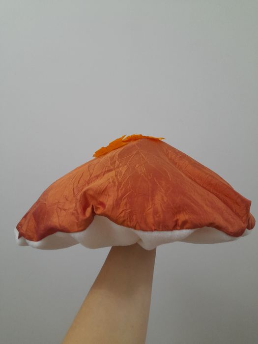 Шапка Гриб Боровик, підосичник, підберезовик. Шапка Гриба