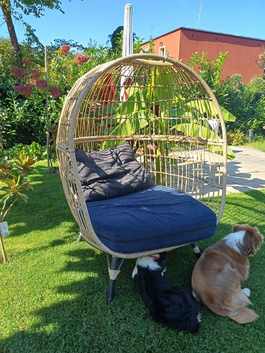 Fotel kokon ogrodowy Apolima GoodHome