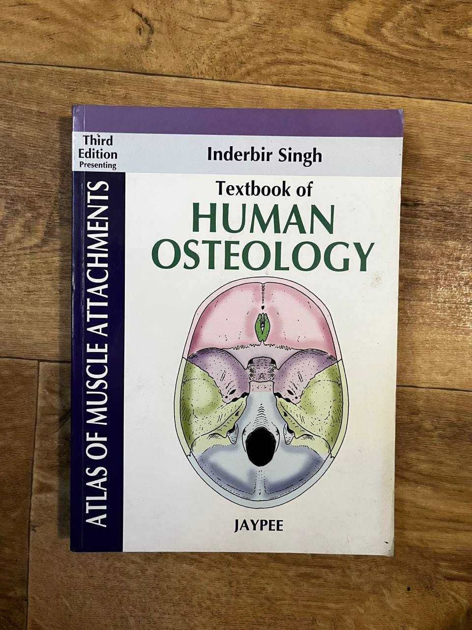 Книга: Textbook Of Human Osteology