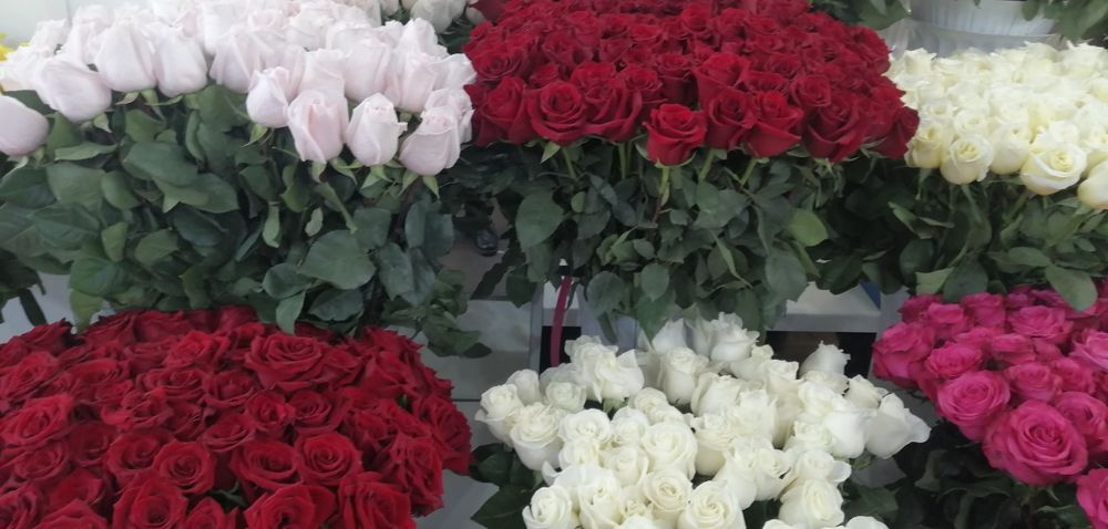 Квіти доставляю вітаю зднем народж