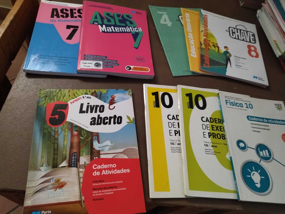 Cadernos de atividades/Livros de fichas
