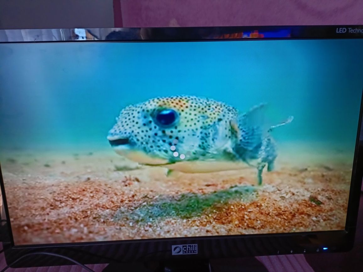 Monitor led 22 cale