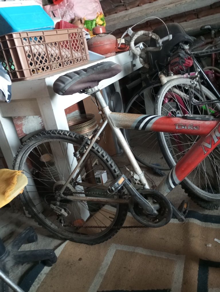 Bicicleta- Bike Zoom