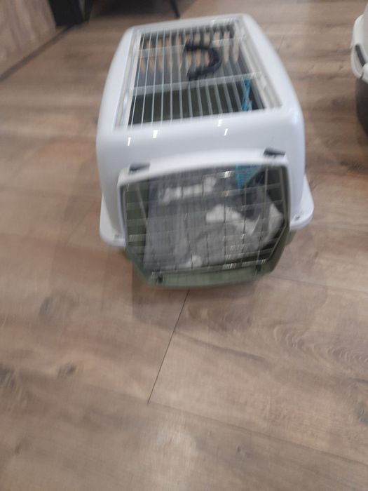 Transporter dla zwierząt