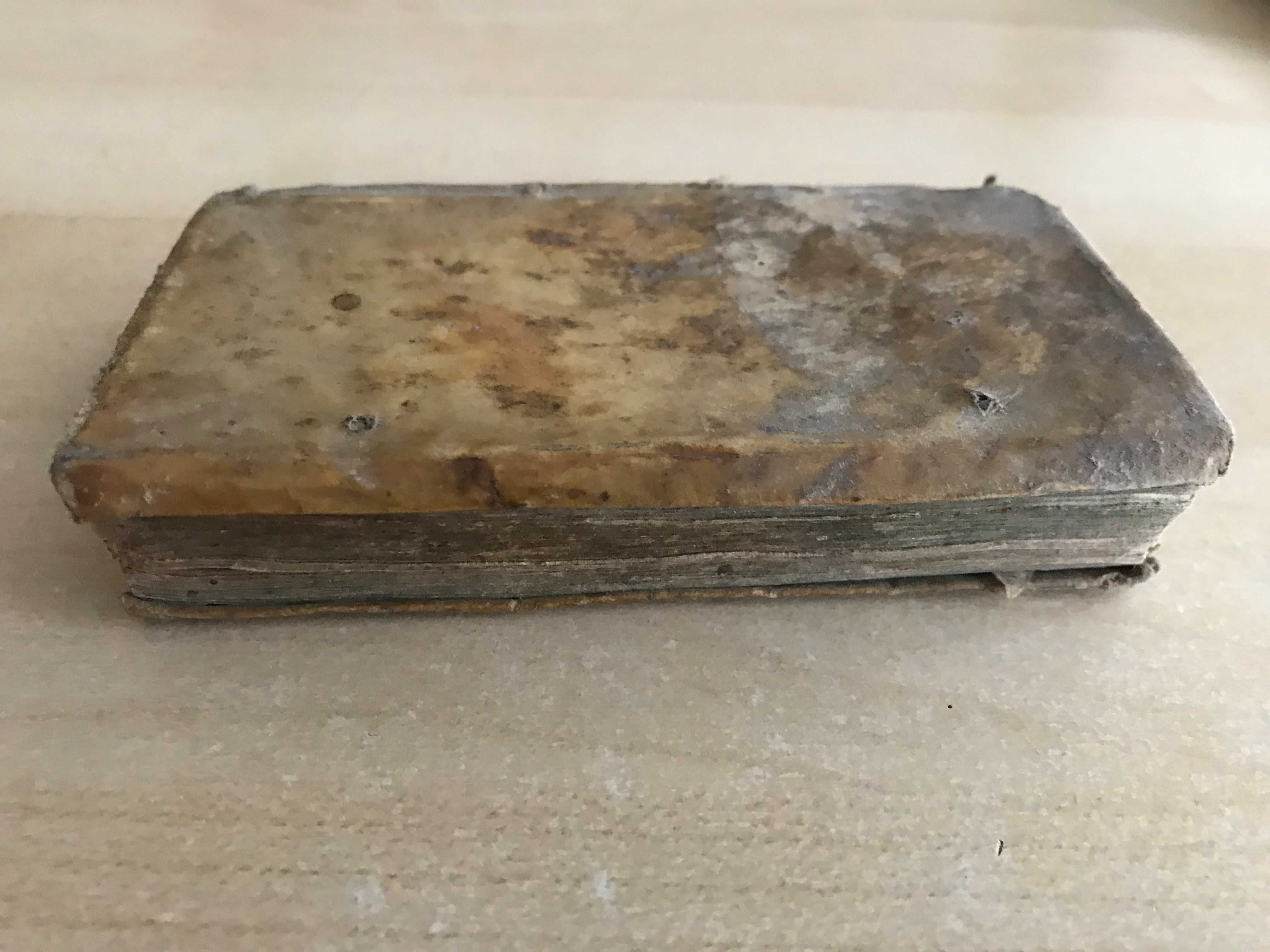 Historia Belgii z 1636 roku