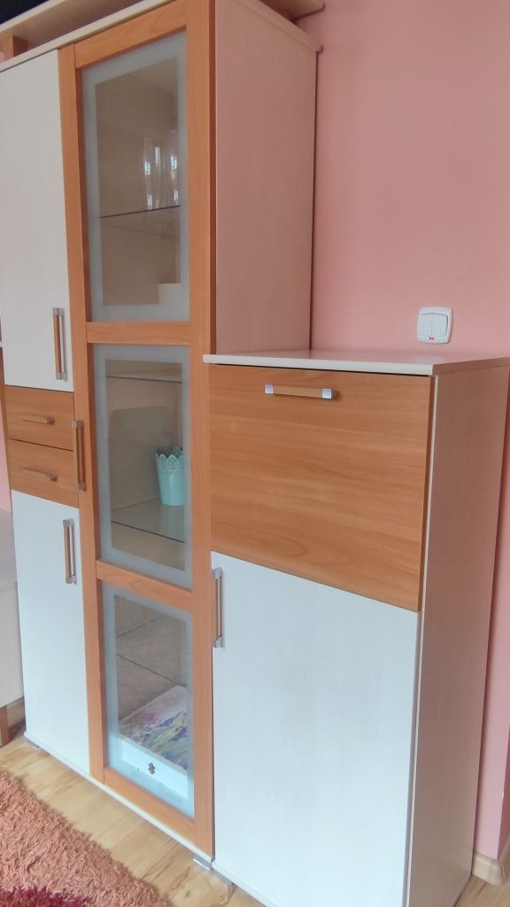 Meblościanka z szafą ( 3m)