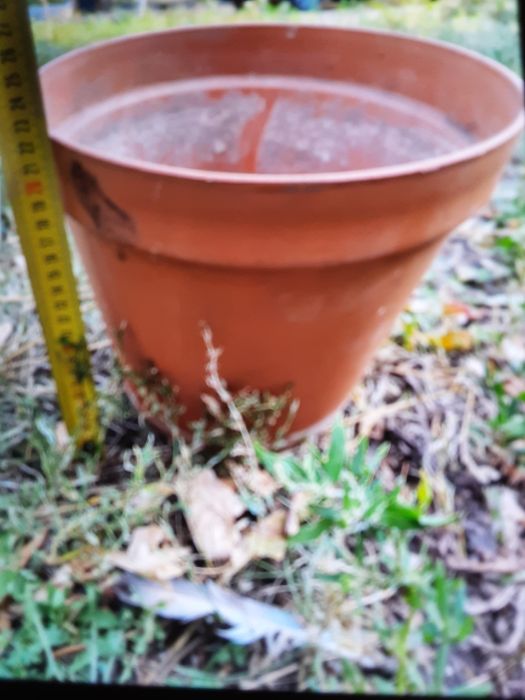 горшки для цветов и шикарный декор