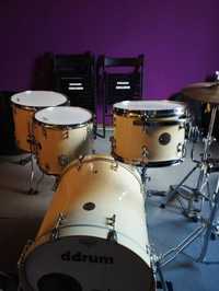 Ddrum Dios Maple