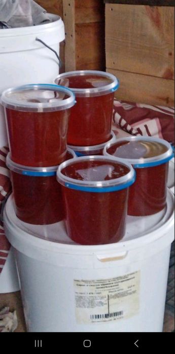 Дикий Мед із густих лісів Українського Полісся