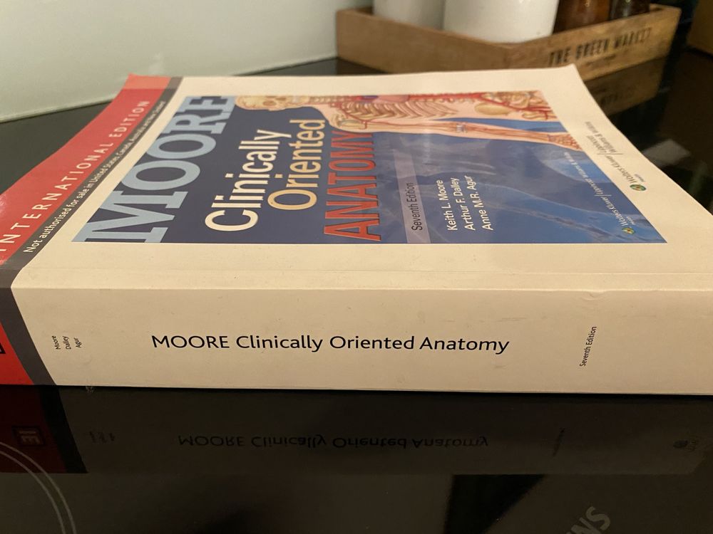 Moore’s Clinically Oriented Anatomy Moor International Editionksiążka