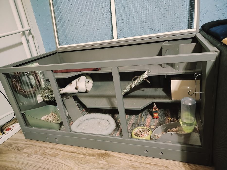 Świnki morskie, klatka