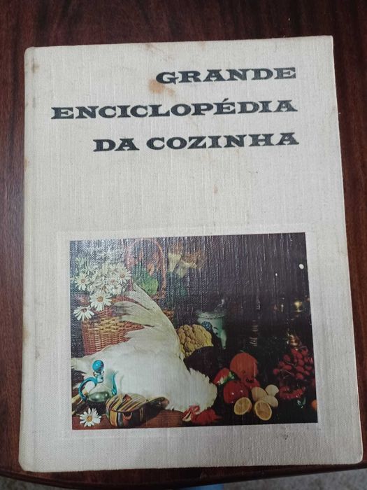 Grande Enciclopédia da Cozinha - Maria de Lourdes Modesto