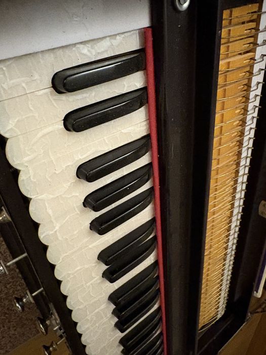 Harmonium indian