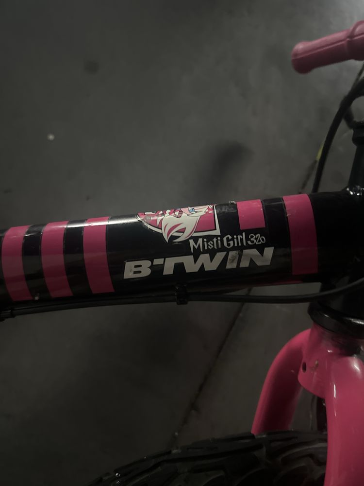 Bicicleta preta e coe de rosa