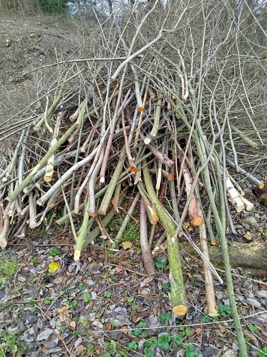 Oddam gałęzie poukładane do rębaka