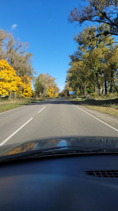 Продаж ділянки та будинку в оточені лісу! Димер.