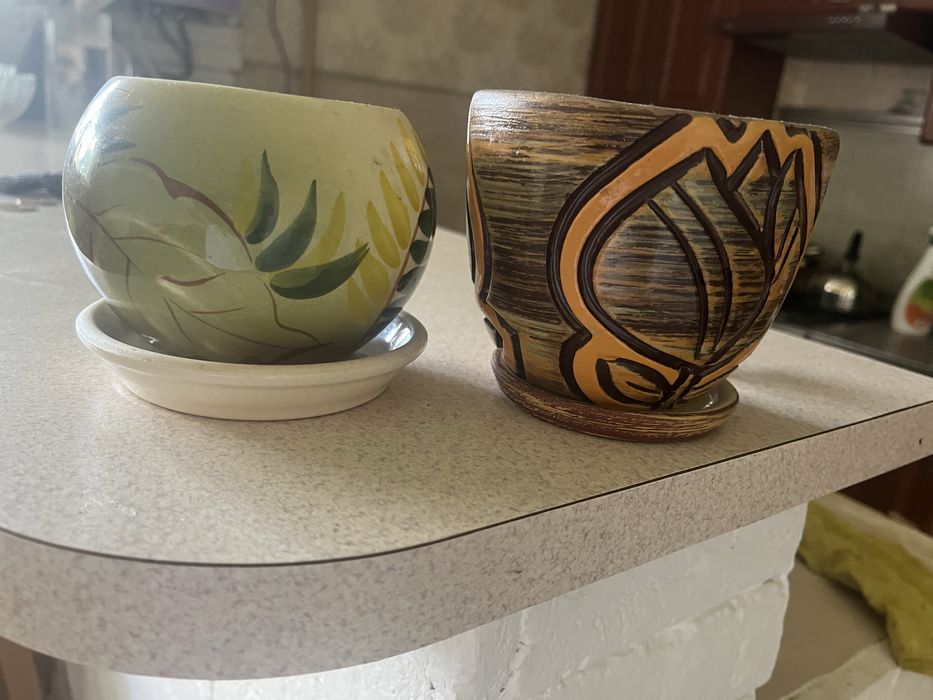 Горщики для кактусів