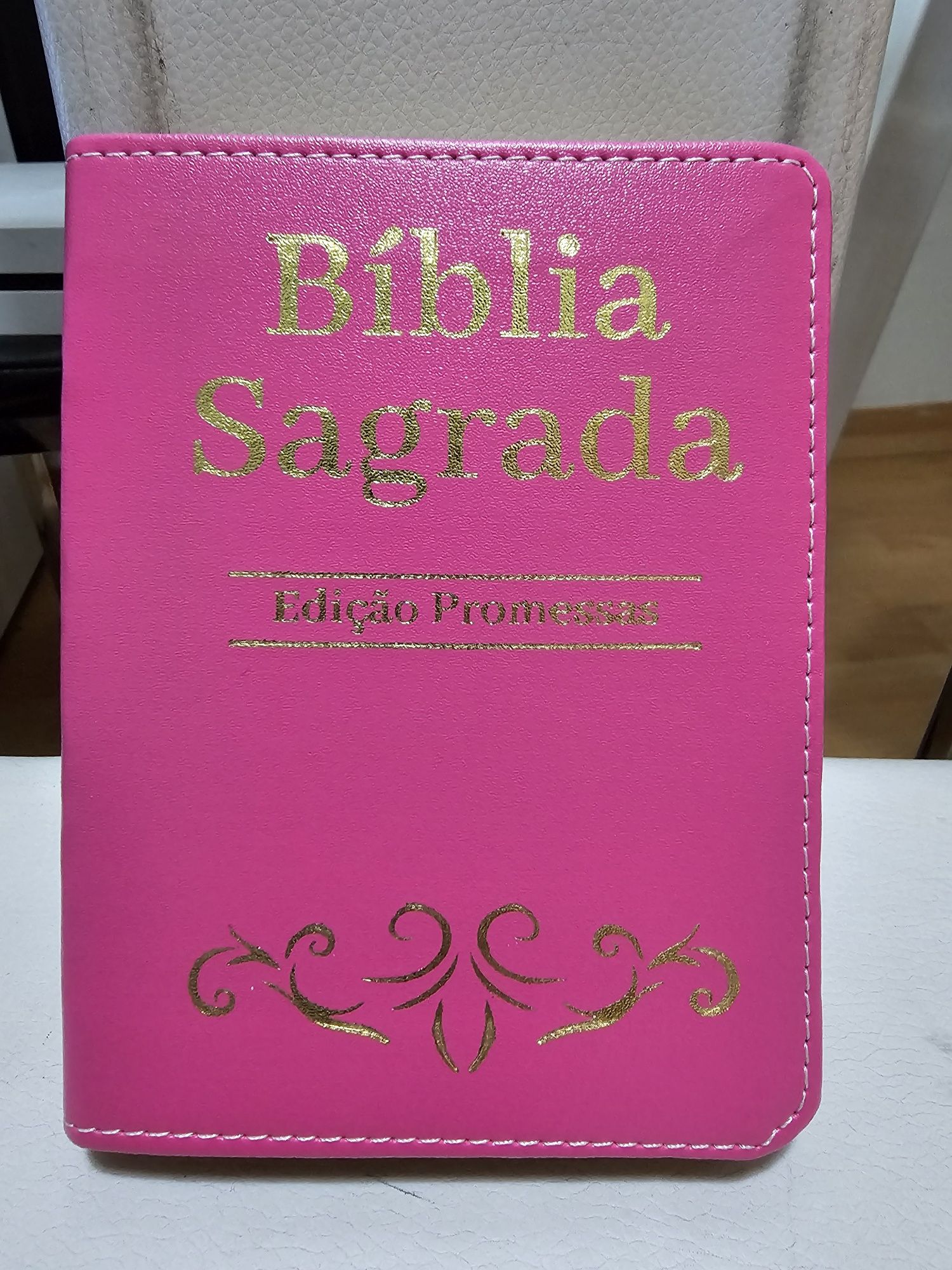Bíblia Sagrada edição Promessas