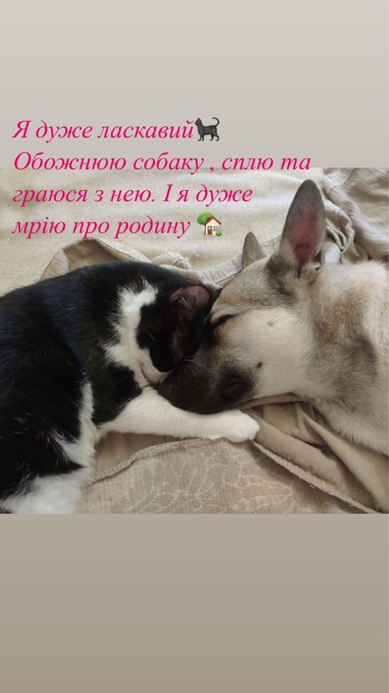 Диво друг на усе життя!