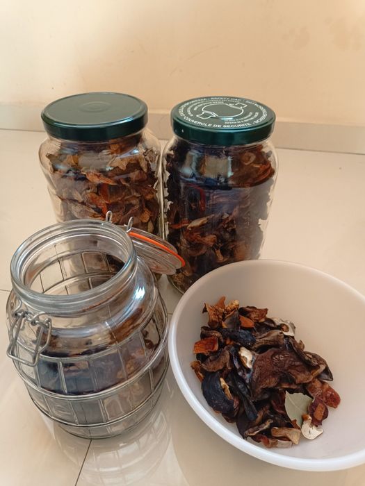 Suszone grzyby tegoroczne