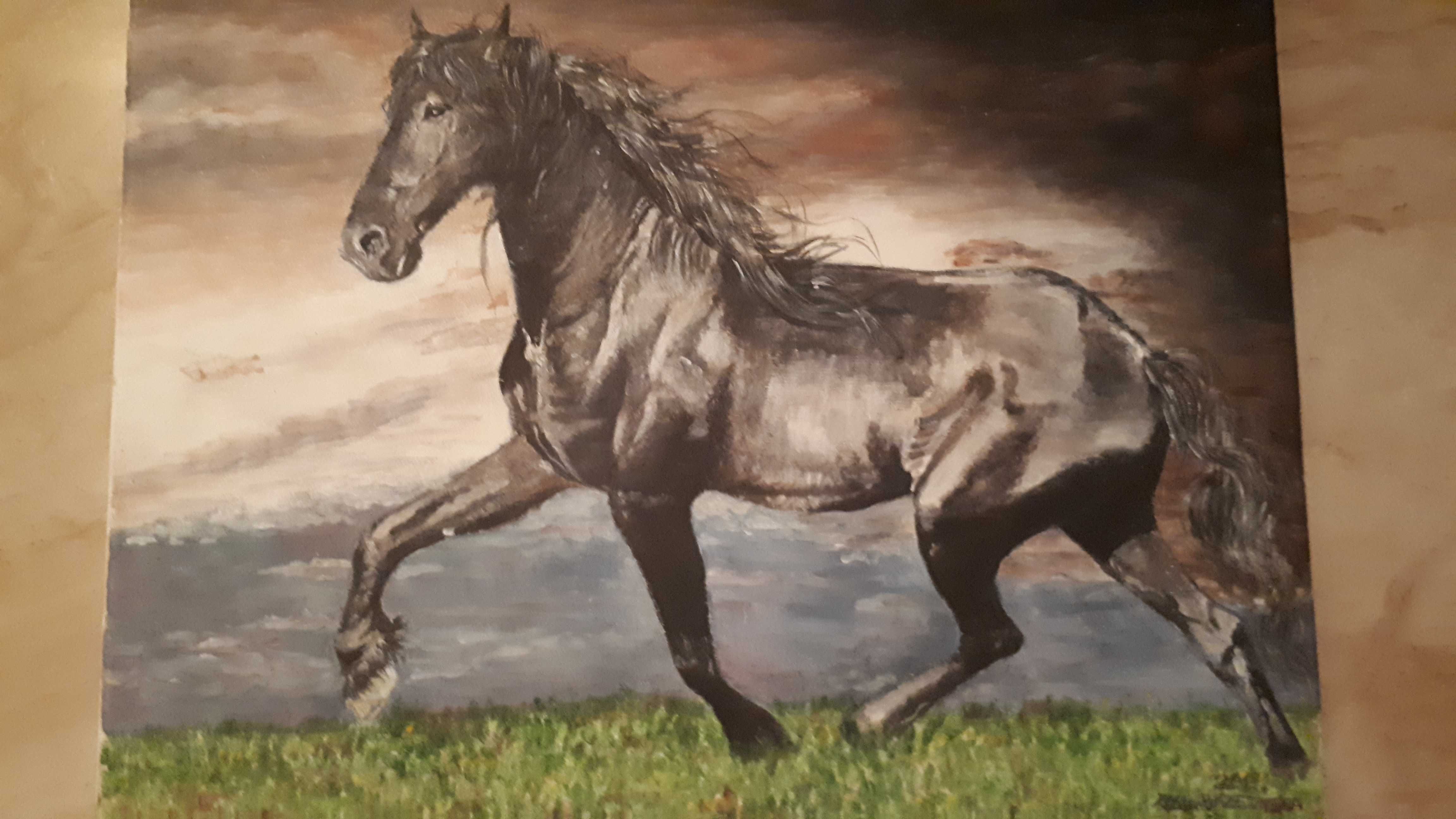 Obraz ręcznie malowany na płótnie - "Czarny Koń Fryzyjski"