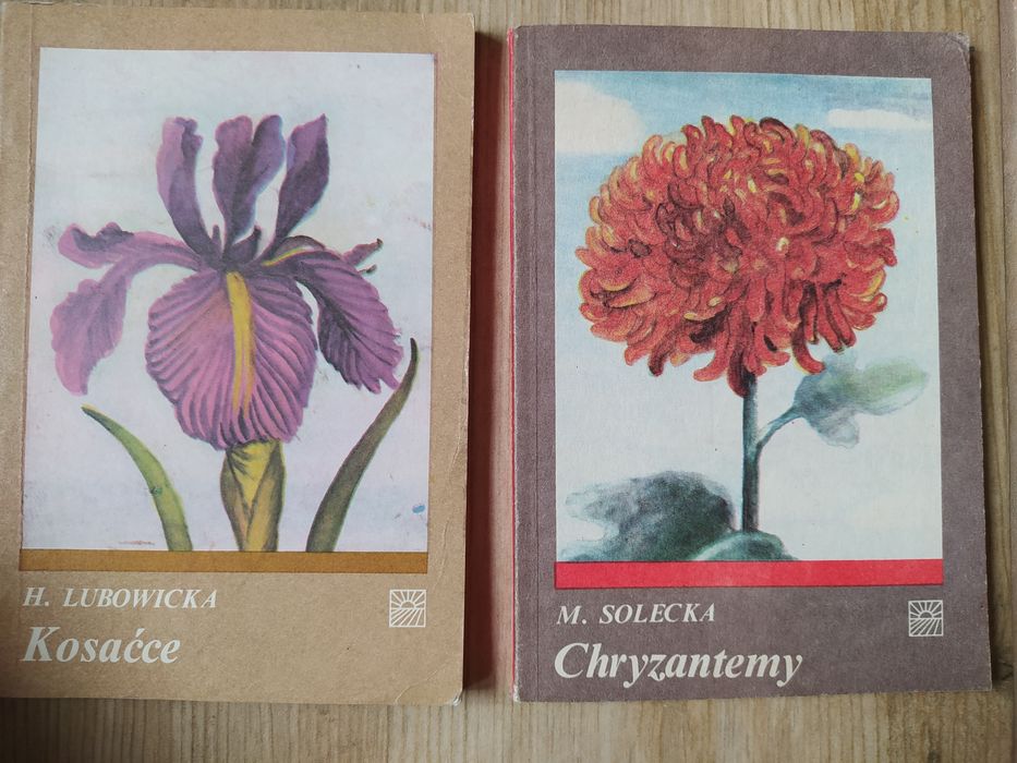 Chryzantemy m. Solecka kosaćce lubowicka