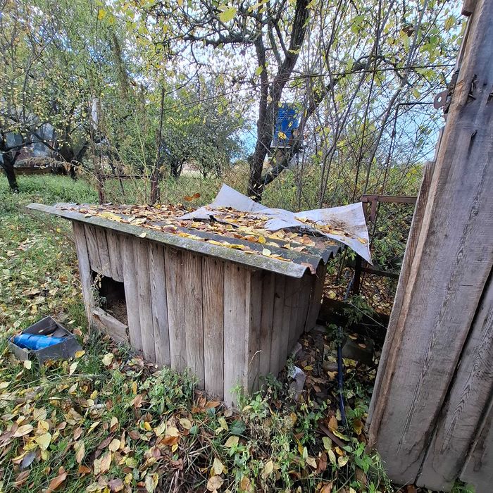 Будинок з великою територією