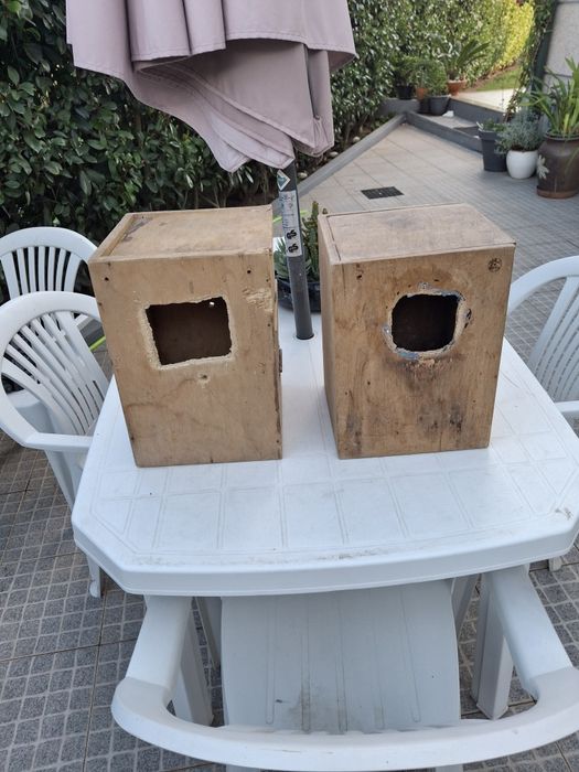 Aves de bico curvo
