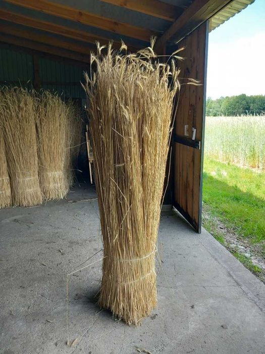 Snopki słomy żytniej do krycia dachów- prosta