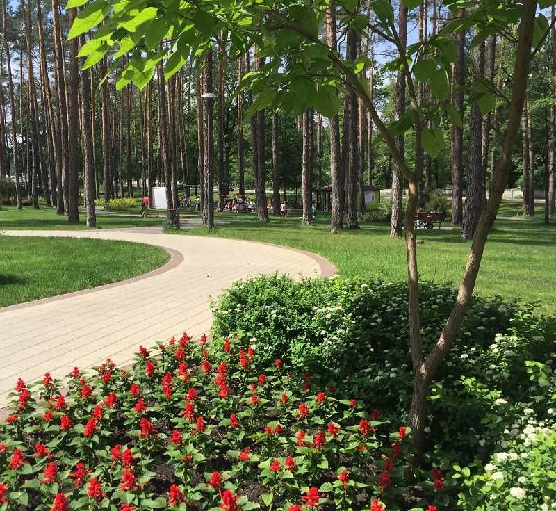 Здам в оренду 1к квартиру біля Центрального парку