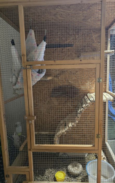 Koszatniczki z klatką / wolierą i wyposażeniem