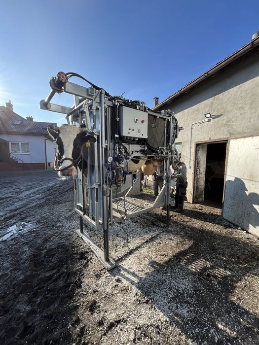 HoofCare korekcja racic u bydła