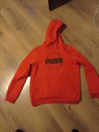 Bluza puma rozm 176