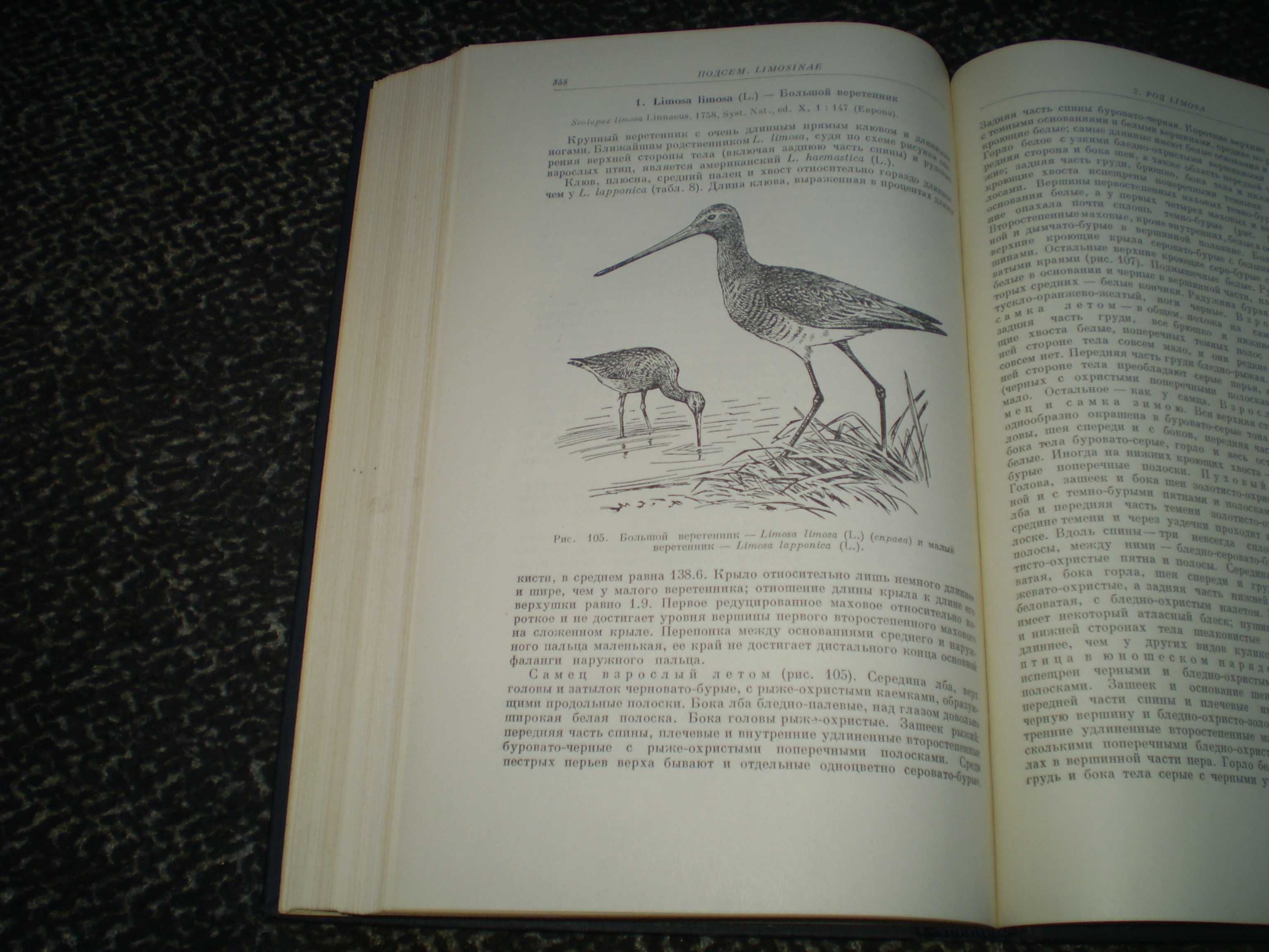 Козлова Фауна СССР. Птицы Том 2,вып 1 Ржанкообразные.Подотр.Кулики1962