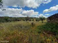 Quinta com construção Rural em Palvarinho