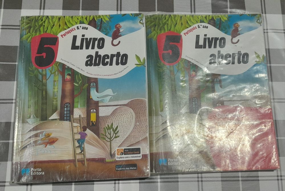 Manual e caderno de actividades português 5 ano