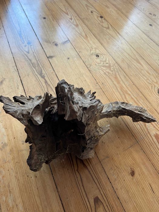 Tronco para Aquário