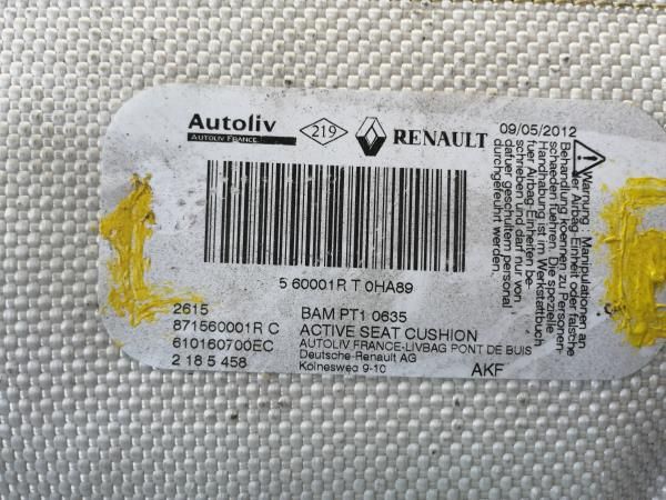 Airbag banco esquerdo RENAULT Clio III (BR0/1, CR0/1)
