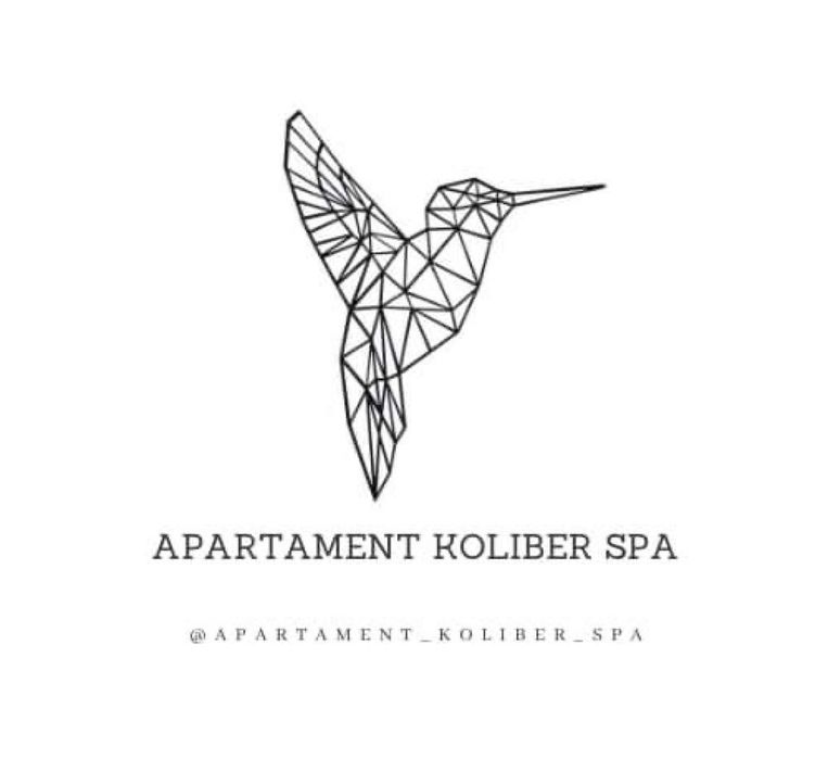 Nowy apartament z jacuzzi -Rzeszów. Wolne terminy swiąteczne i sylwest