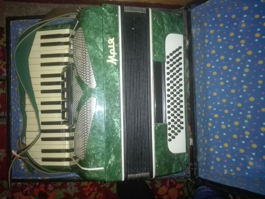 Акордеон мрія з чохлом