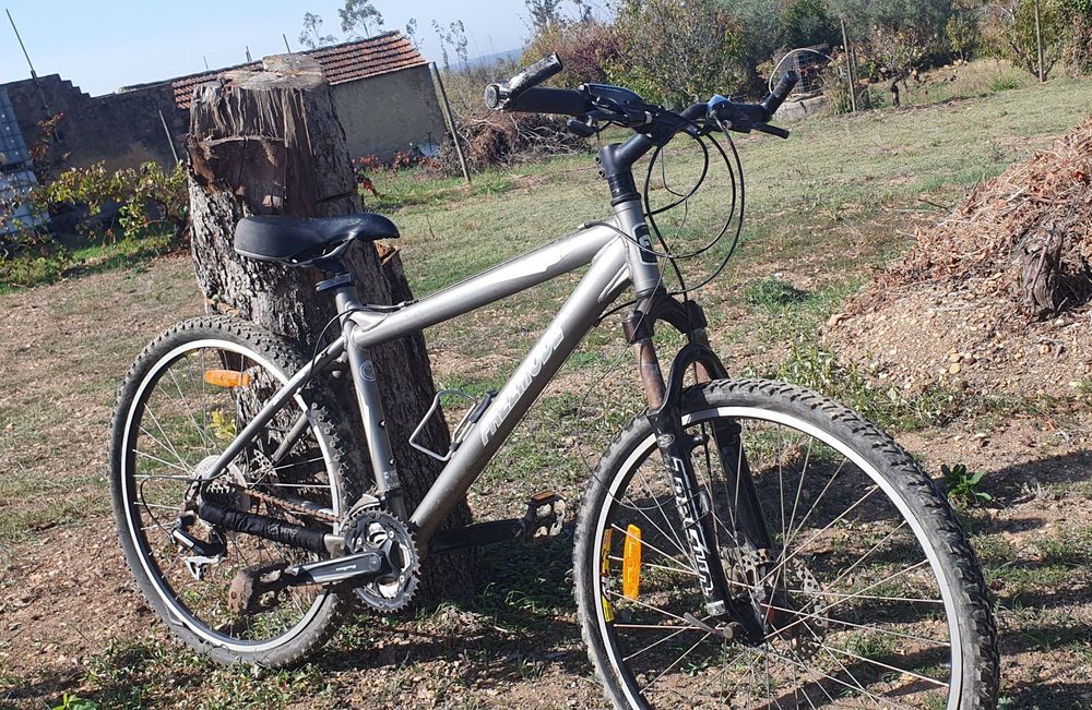 50€ cada bicicleta