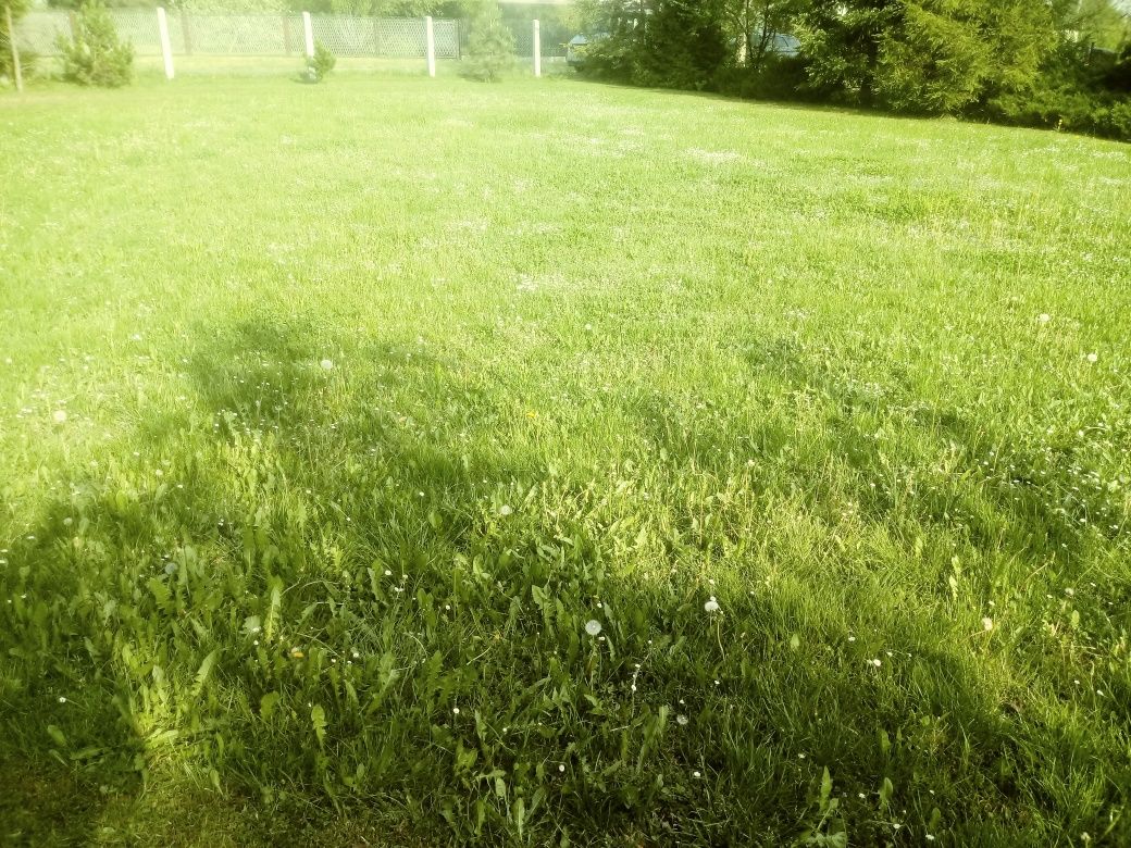 Koszenie wysokich traw i trawników