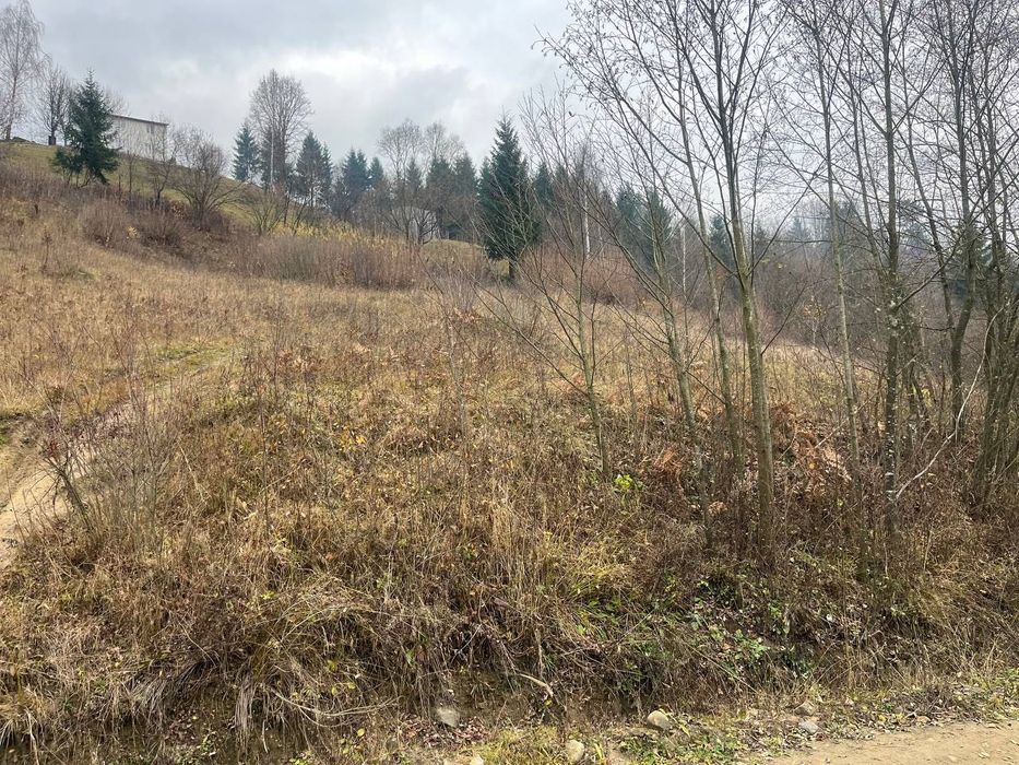 Земельна ділянка з панорамою на  г.Піп Іван