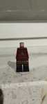 lego Ninjago Ray