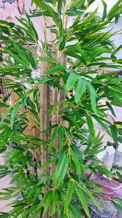 Árvore / Planta Artificial Bamboo 180cm  ( Novo )