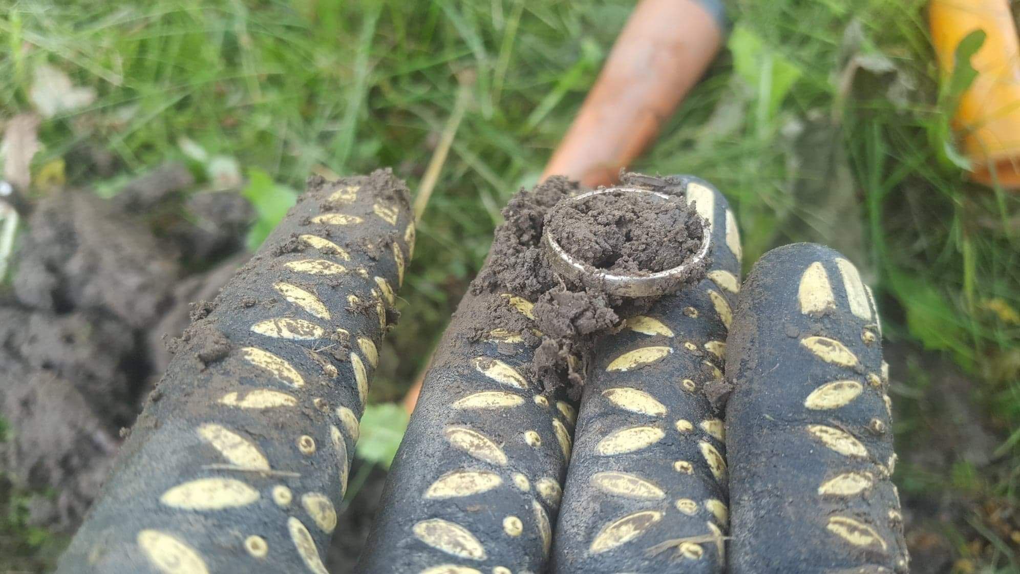 Wykrywacz metali usługi zgubiona obrączka