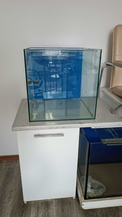 Акваріум Garra Rufa