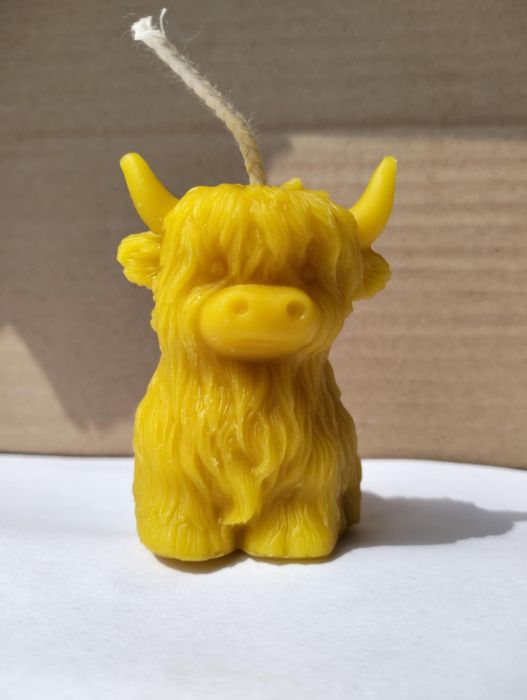 świeca z wosku pszczelego krowa, krówka